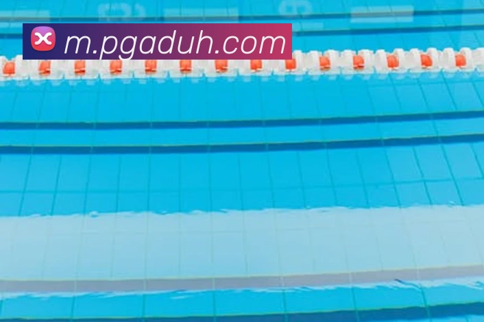 澳门新葡京官方网站平台生态图